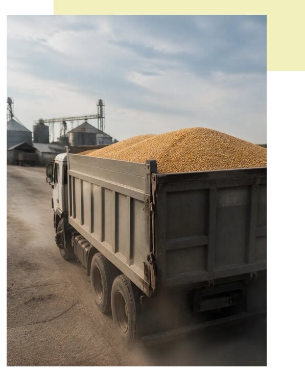 Перевозка сельхозпродукции навалом в Ивантеевку по цене от 3086 р. | Агросервис-Внт